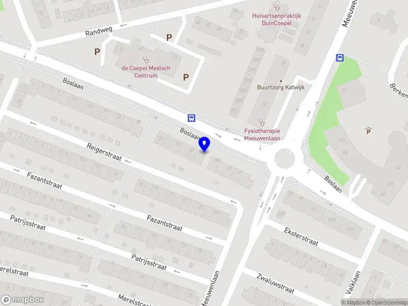 Dennis van Rijn Schilderwerken