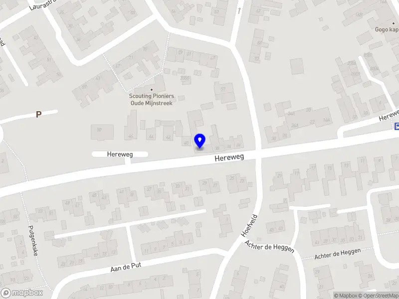 Palm Allround Interieurbouw