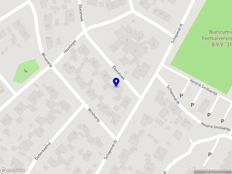 Your Virtual Partner