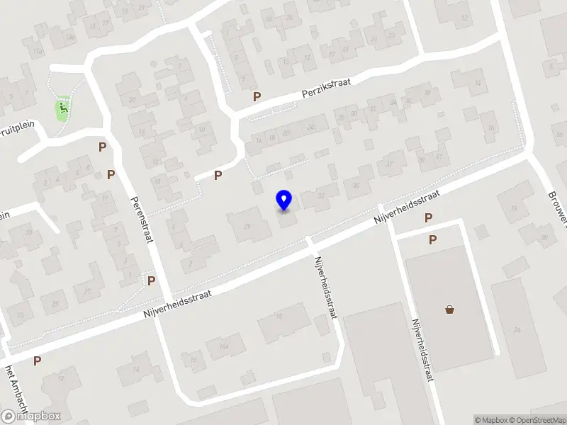 BvO Interim Management