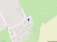 Leona Frederique Marketing