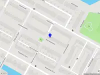 De Loof Boomverzorging