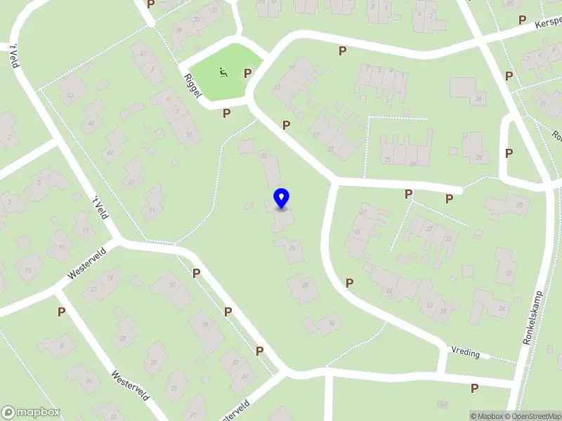 Bruggeman Management & Advies B.V.