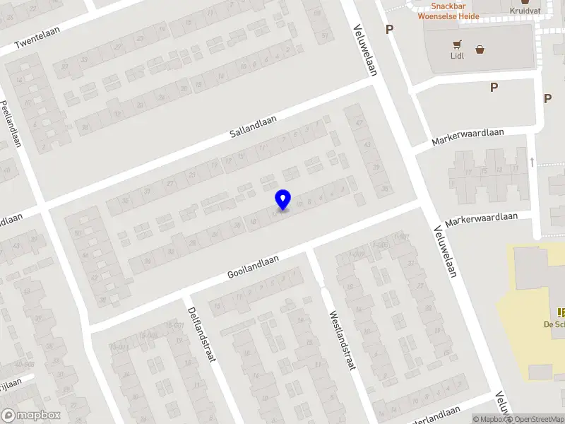 Solid Security Services