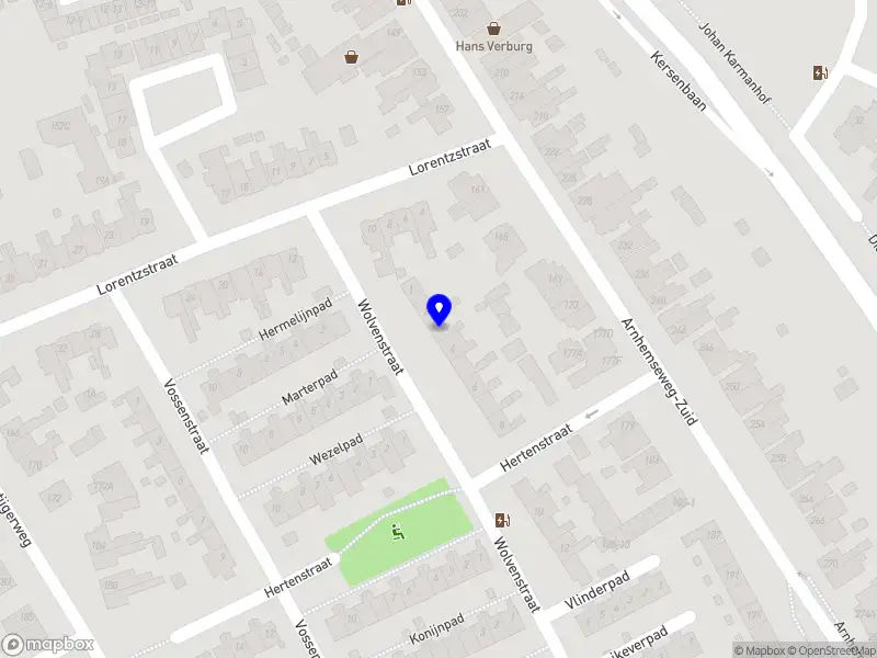 Timo Petrus van vliet