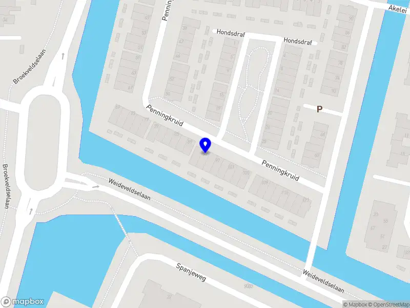 Salma van der Laan Verpleegkundig Specialist GGZ