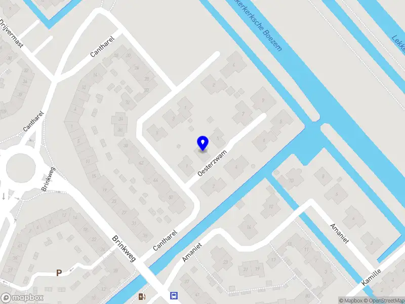 Fiume loopbaan & re-integratie advies