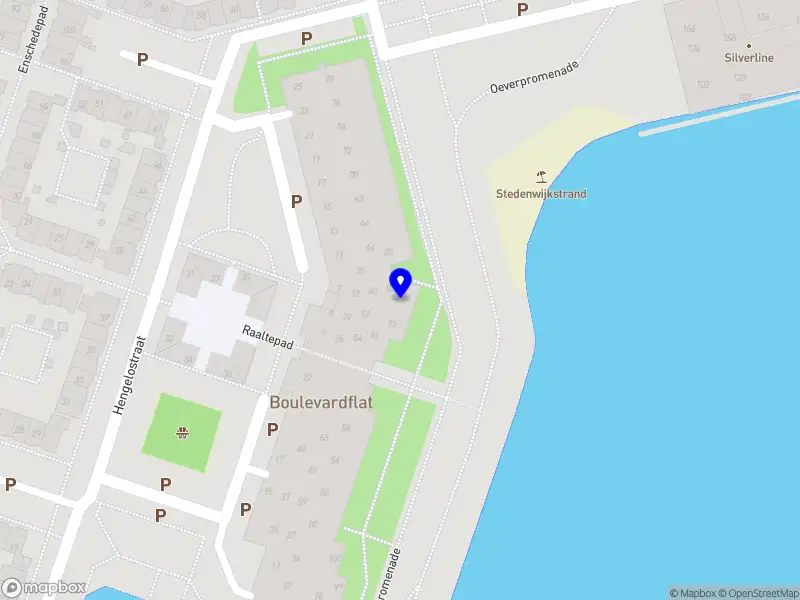 Zanger Bart Schepers