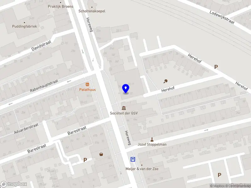 Raman Auditing and Consulting