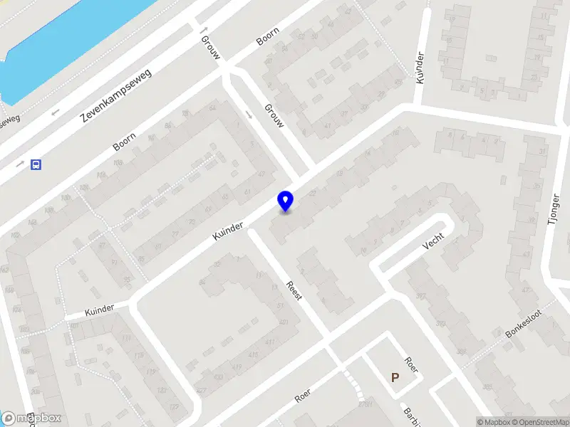 Miss Ping Ping Beauty