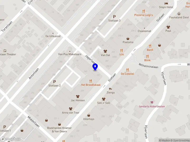 Vereniging van Eigenaars Adriaen van Ostadelaan 121 en 121 BS te Utrecht