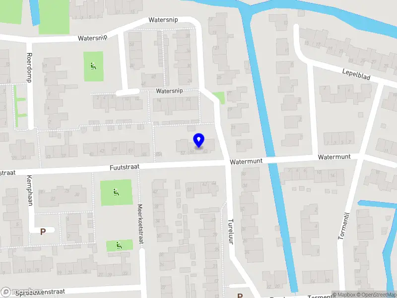 Timar graphic design