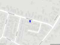 Sandra's Duivenvervoer