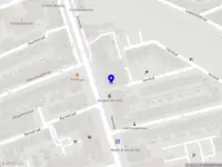 Raman Auditing and Consulting