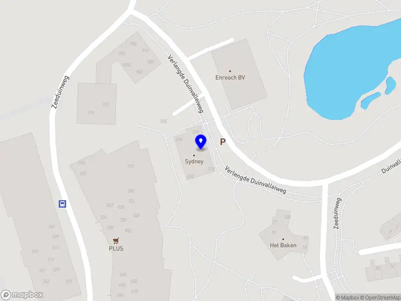 Bold by Shermaine Braafheid