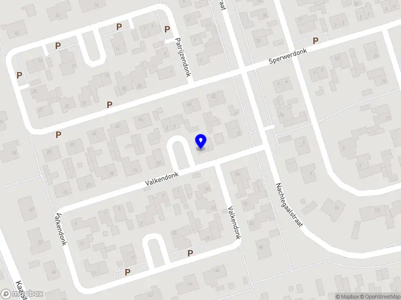 D.D. Interim Management