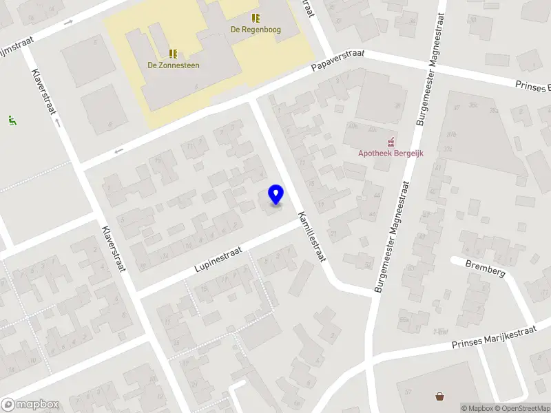 Bloom Gastouderopvang Bergeijk