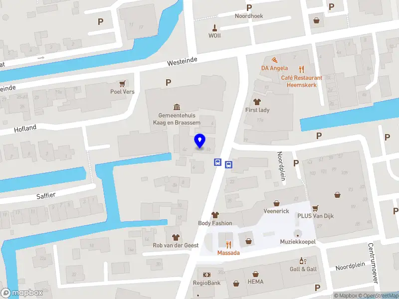 Reggi's Hairdesigner