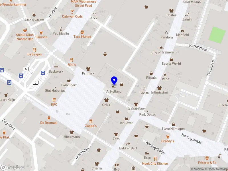 Willemijn Wieland t.h.o.d.n. The Nourishing State Nijmegen