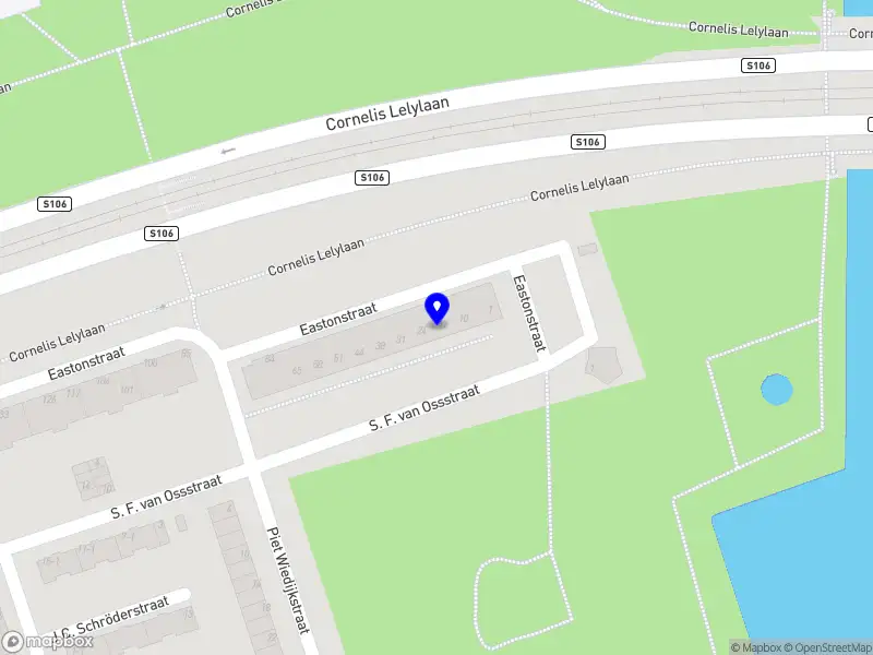 Mayerdua Organization