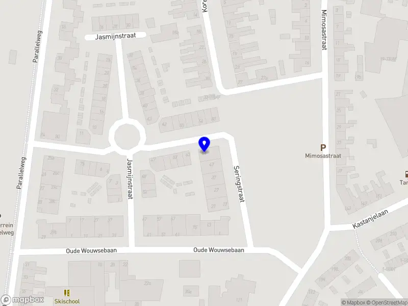 Schoutens Taal & Tekst