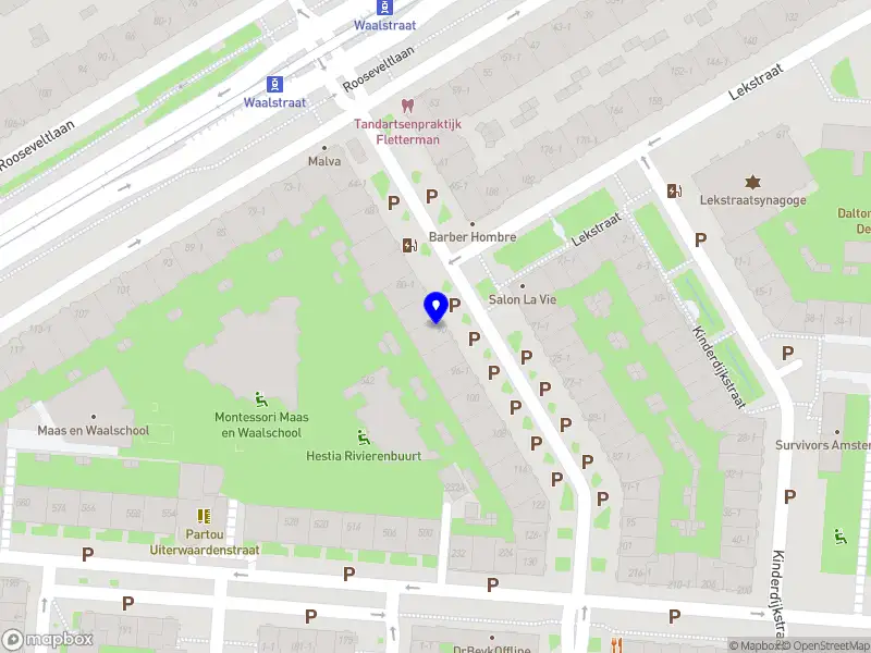 Pieter's Experimental Language School