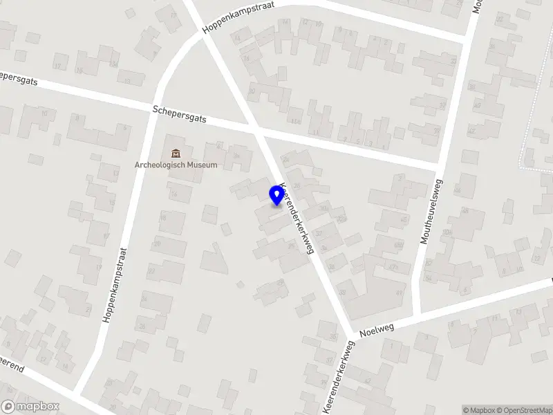 Haddock Bedrijfsadvies