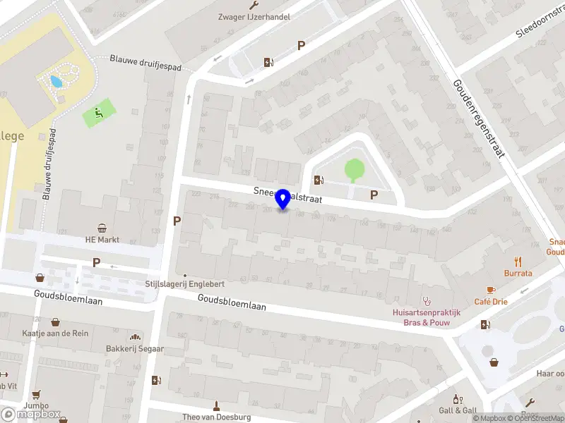 Stichting Leeft Festivals