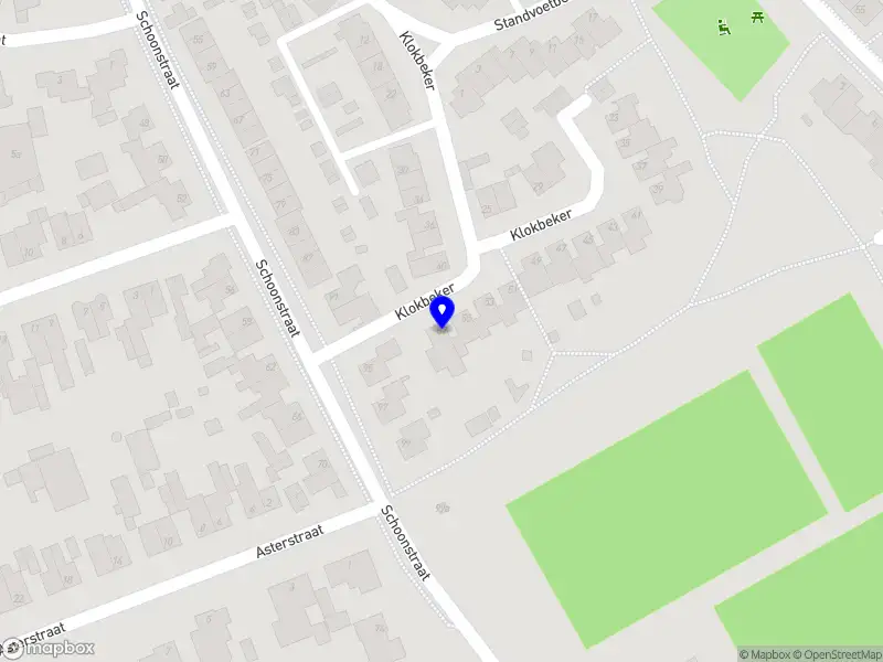 Fysiotherapie Saar van der Heijden