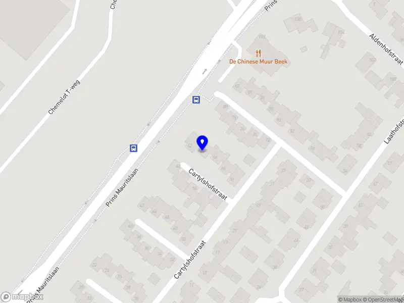 Bekken-Oedeem Praktijk Mennis