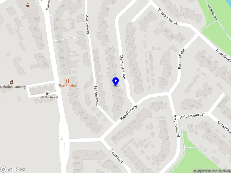 Elev8 Interim Management