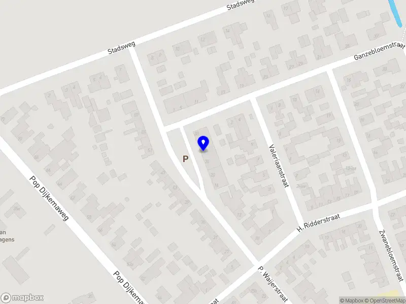 Myles Aaron Steele Groningen