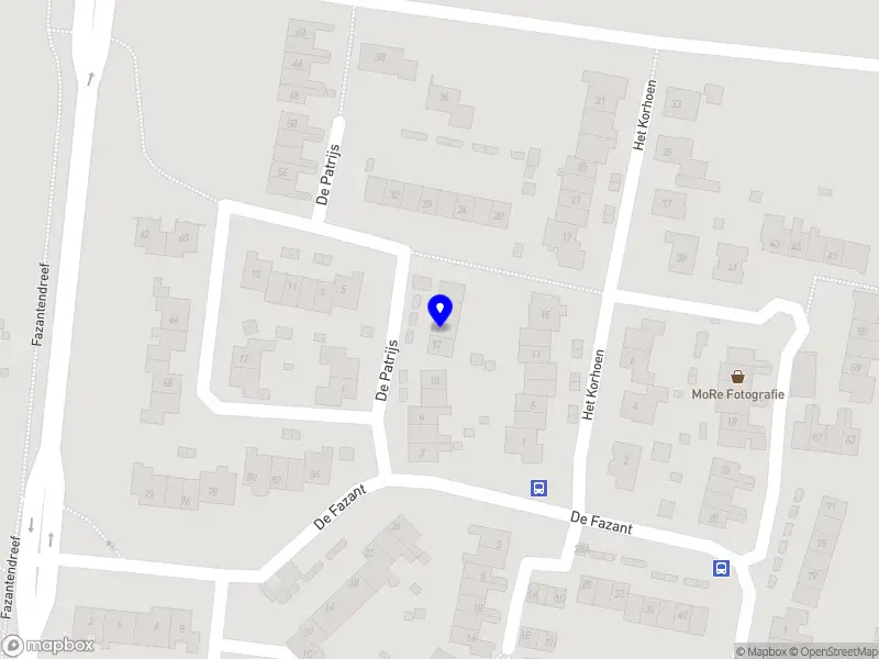 Kelly Catharina Works