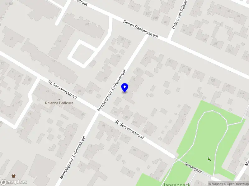 Corine Voets acupunctuur