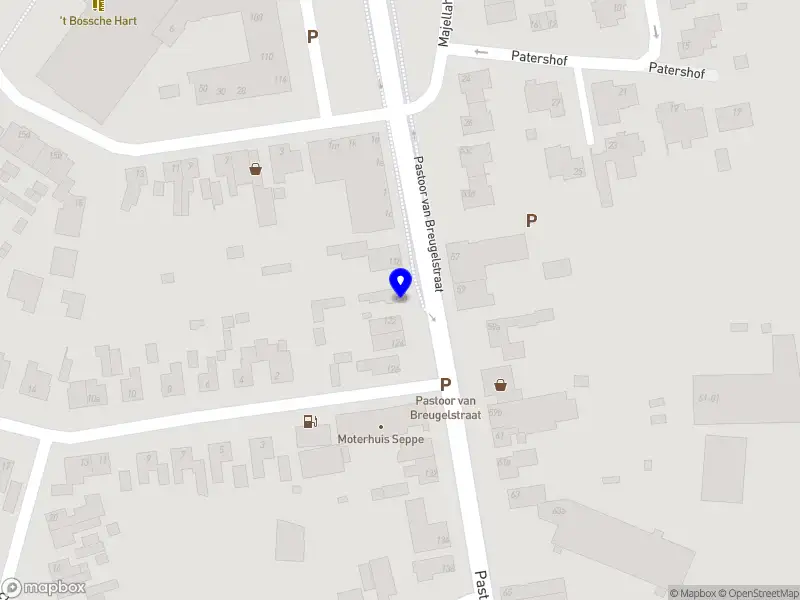 Les Richting Succes t.h.o.d.n. Verkeersschool Blom