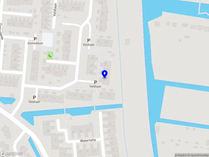 Immersion Photography