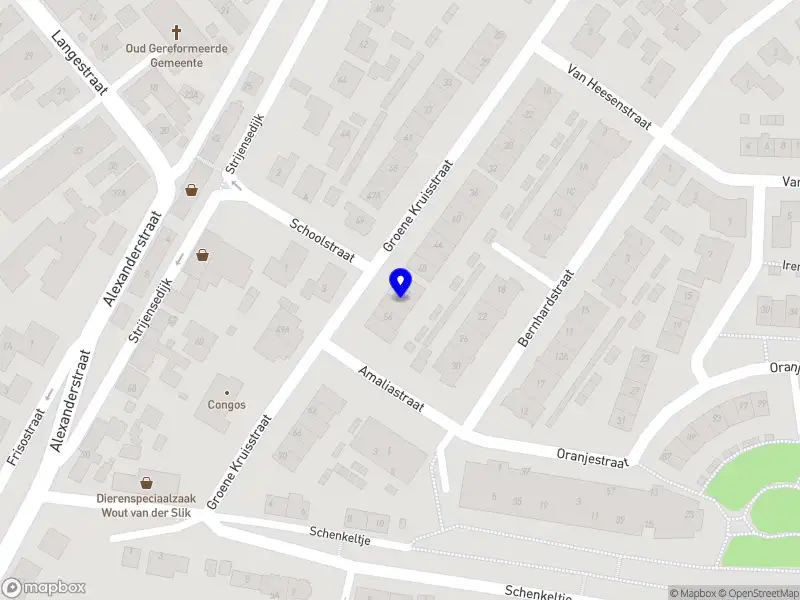 WDS Financial Services B.V.