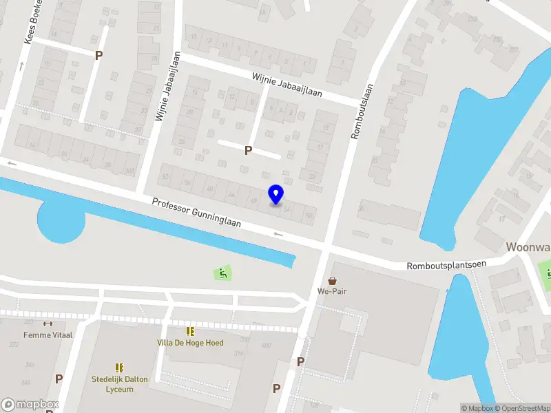 Hanne Maasson Communicatieadvies