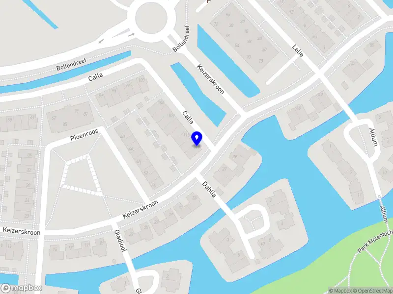 M van Leeuwen psychologie