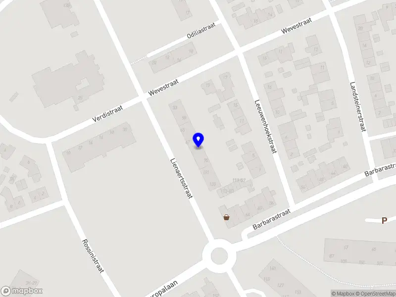 Gymles voor volwassenen