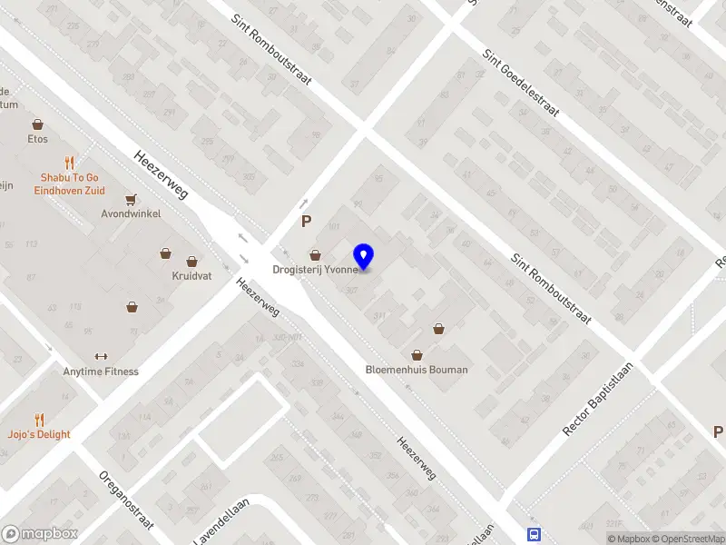 D.A.M. van Lieshout Holding B.V.