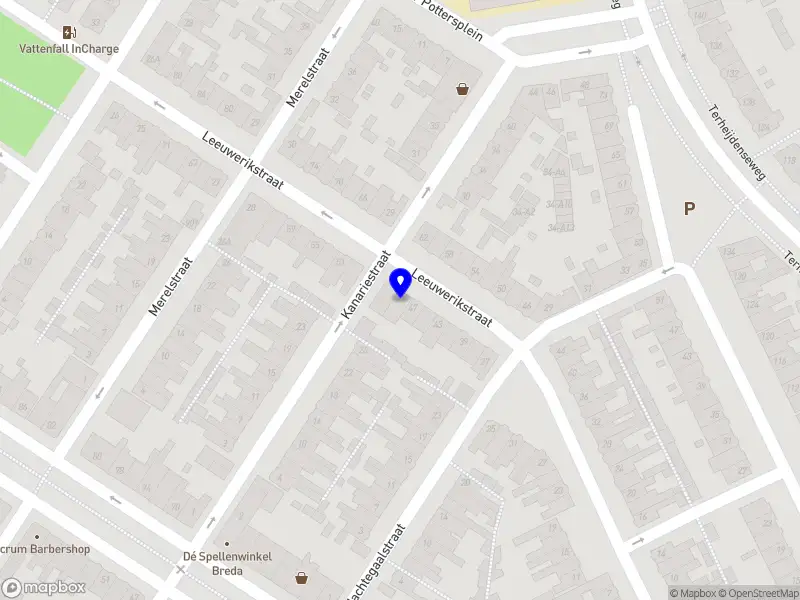 Ontwikkelkracht | Marty van Rijen Breda