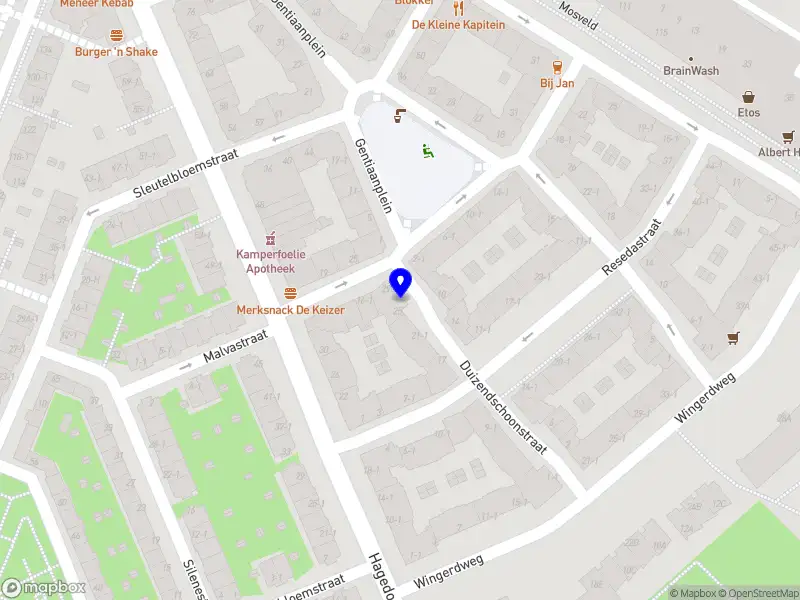 Holland Flowers & Seeds Company