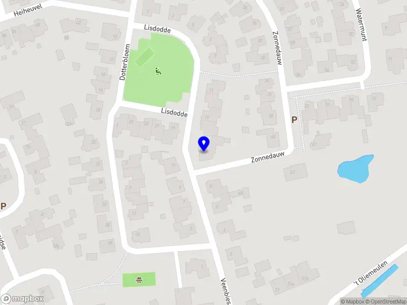 Stichting Grote Gezinnen Nederland (GGN)