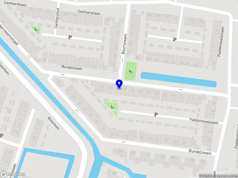 Fréderique Houben Management en Advies