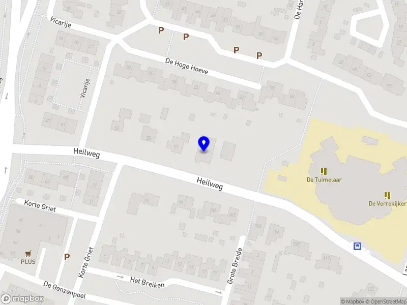 MS Design & Illustration