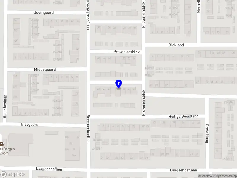 Luzora raamdecoratie