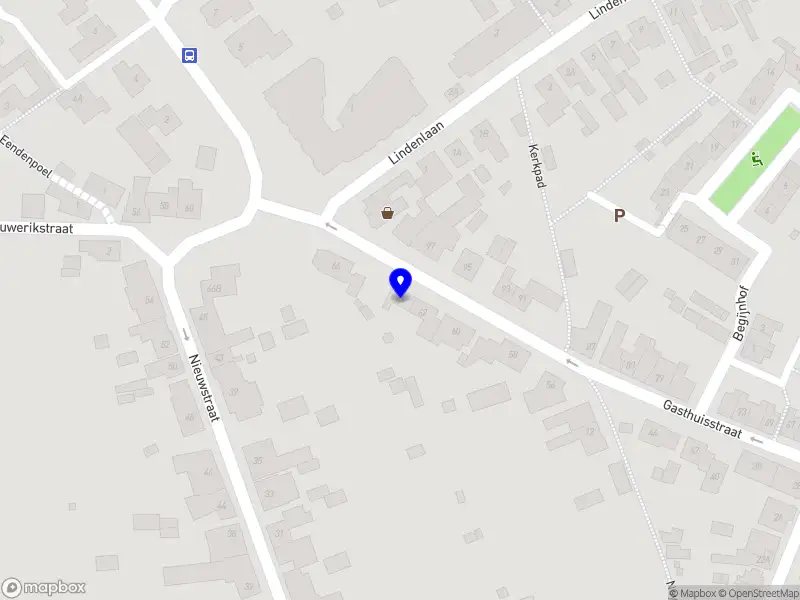 Vereniging Nieuwe Politiek