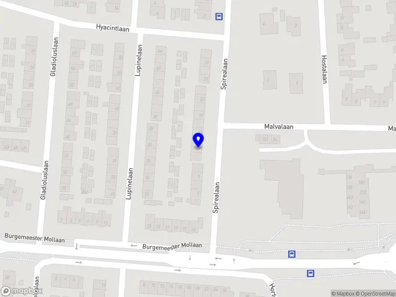 Chocoladeletter entertainment