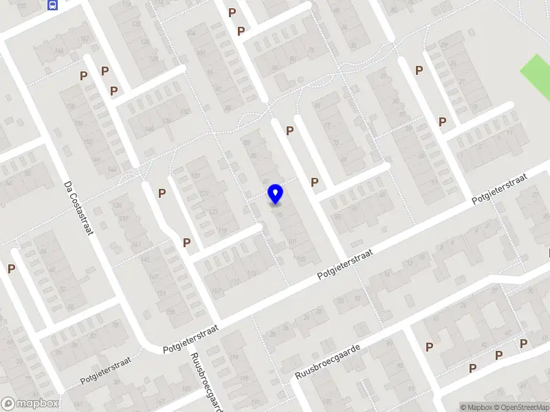 Ellen Bron activiteiten begeleiding